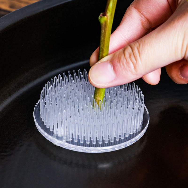 Round Ikebana Stem Holder Suct - Florist Supply Bulk review and price