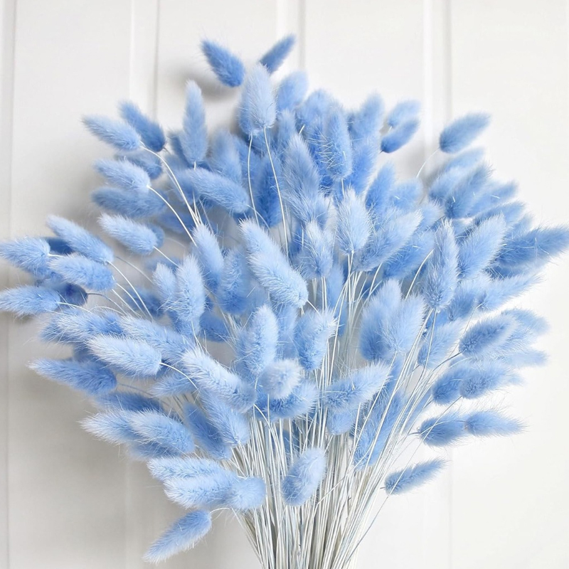 100PCS Blue Hare's-tail Grass  - Florist Supply Vases review and price